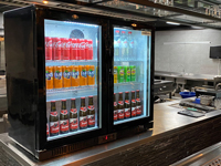 Barcooler met 2 deuren