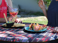 BBQ grill topcover die heel mooi past op effen zwarte hoezen of op de vuur design stretchhoes