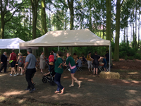 Beige pvc vouwtent 4x8