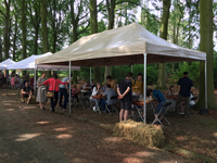 tweedehands 4x8 tent